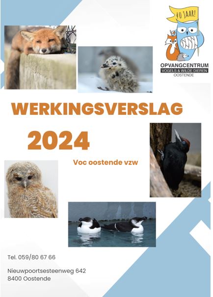 Werkingsverslag